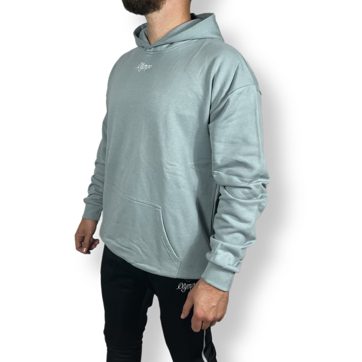 ULTRA-TEERY™ HOODIE OVERSIZE "WATERBREAK" | LION